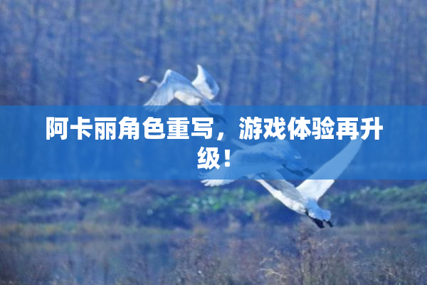 阿卡丽角色重写，游戏体验再升级！