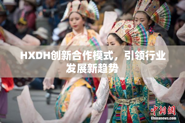 HXDH创新合作模式，引领行业发展新趋势