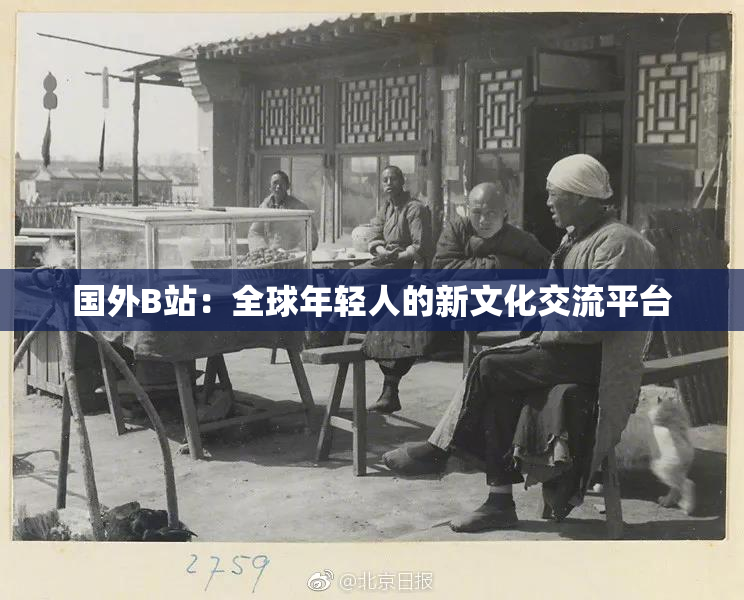 国外B站：全球年轻人的新文化交流平台