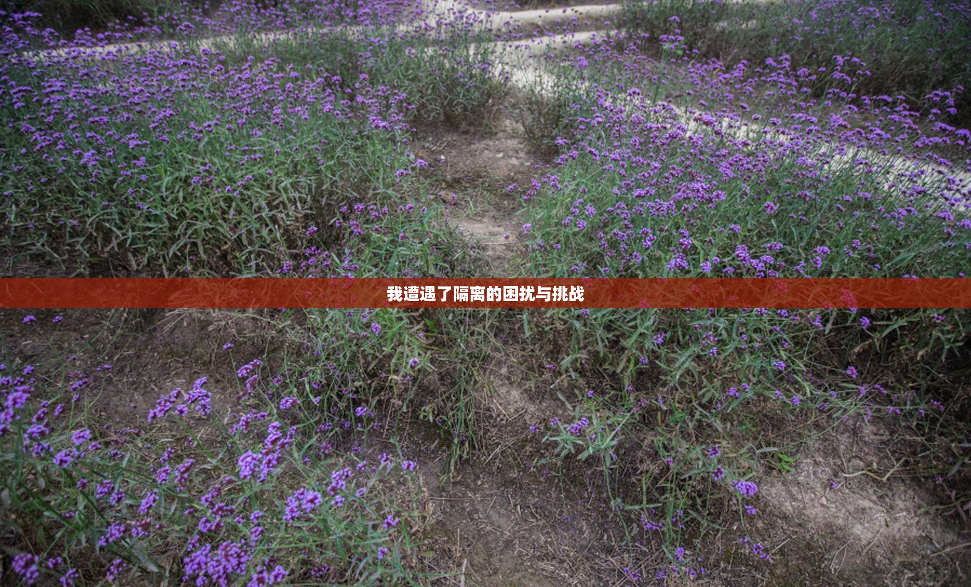 我遭遇了隔离的困扰与挑战
