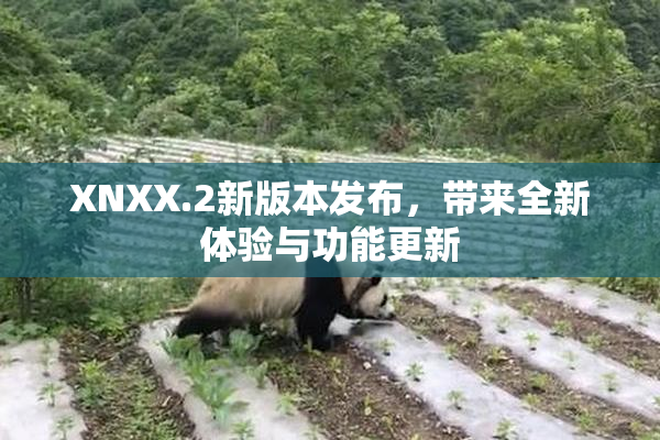 XNXX.2新版本发布，带来全新体验与功能更新