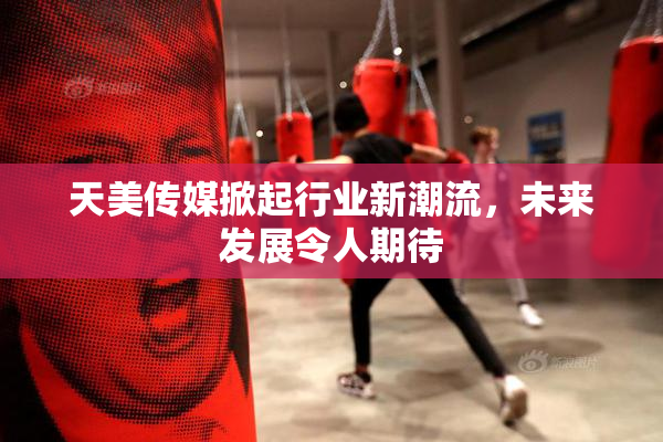 天美传媒掀起行业新潮流，未来发展令人期待