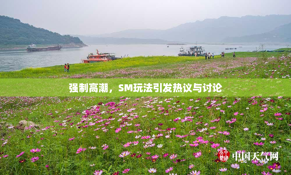 强制高潮，SM玩法引发热议与讨论
