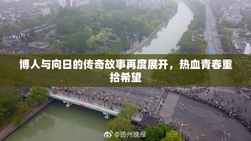 博人与向日的传奇故事再度展开，热血青春重拾希望