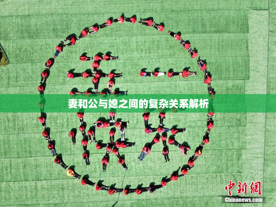 妻和公与媳之间的复杂关系解析