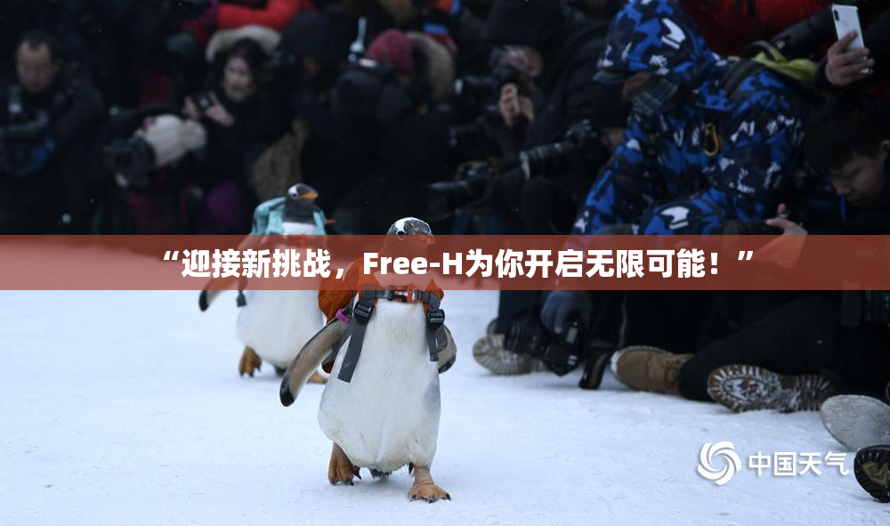 “迎接新挑战，Free-H为你开启无限可能！”