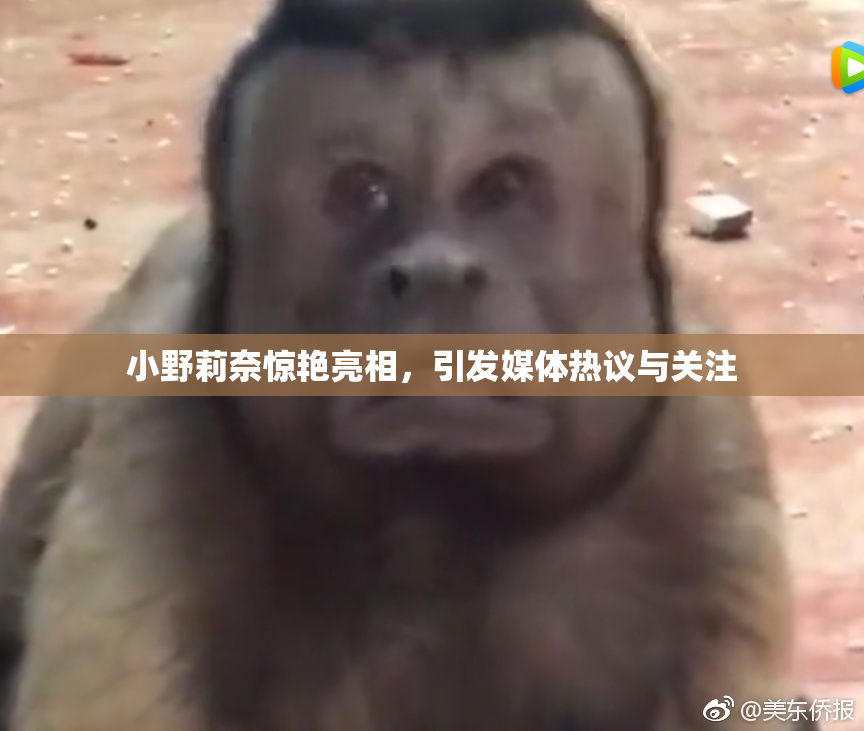 小野莉奈惊艳亮相，引发媒体热议与关注