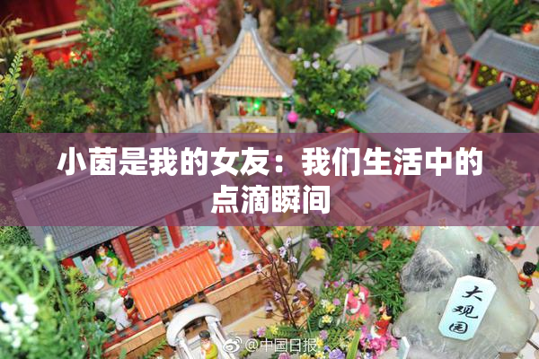 小茵是我的女友：我们生活中的点滴瞬间