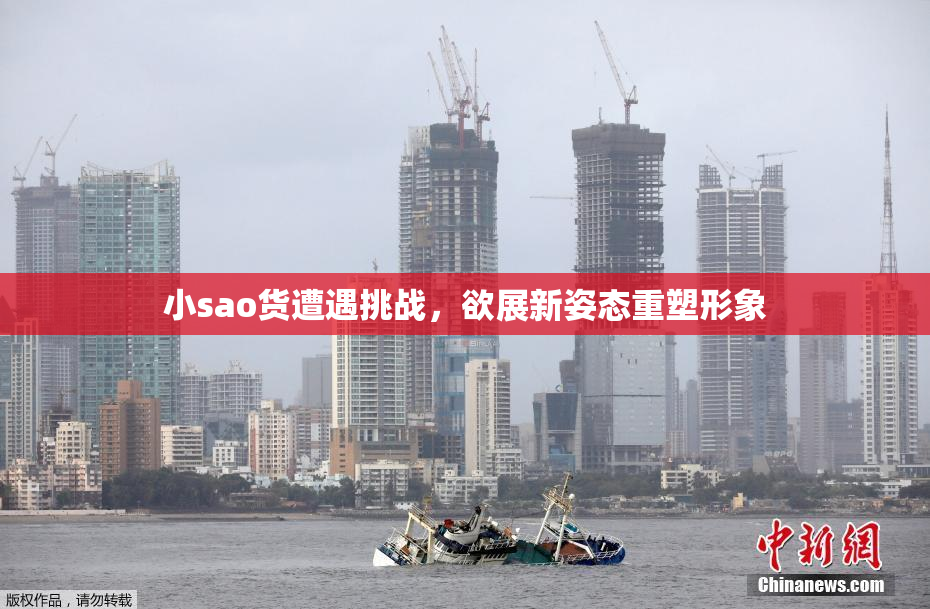 小sao货遭遇挑战，欲展新姿态重塑形象