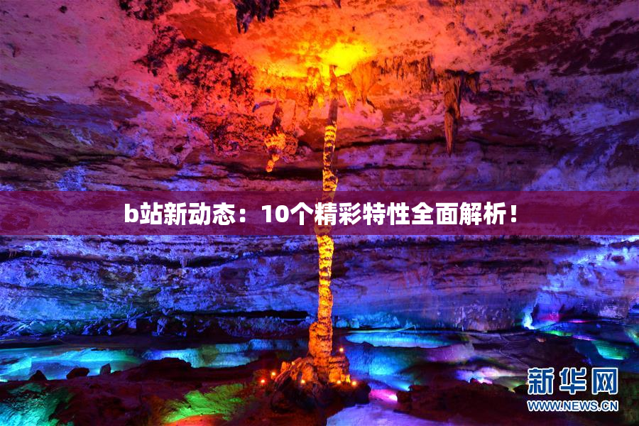b站新动态：10个精彩特性全面解析！