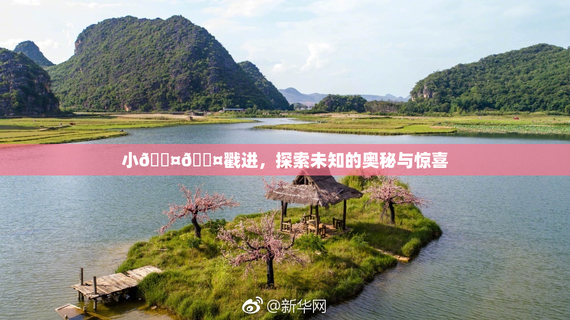 小🐤🐤戳进，探索未知的奥秘与惊喜