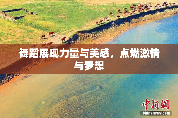舞蹈展现力量与美感，点燃激情与梦想