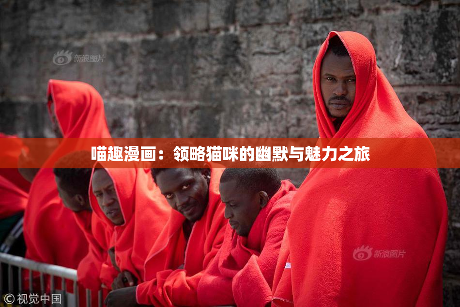 喵趣漫画：领略猫咪的幽默与魅力之旅