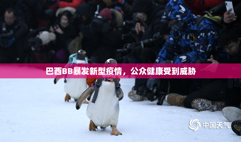 巴西BB暴发新型疫情，公众健康受到威胁
