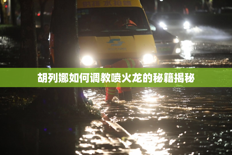 胡列娜如何调教喷火龙的秘籍揭秘