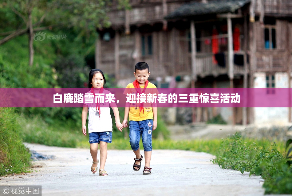 白鹿踏雪而来，迎接新春的三重惊喜活动