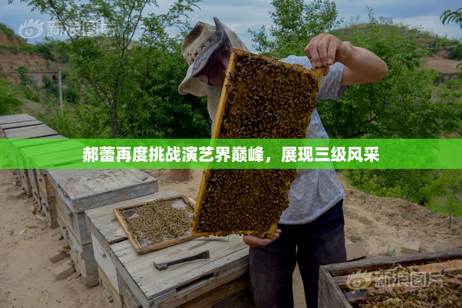 郝蕾再度挑战演艺界巅峰，展现三级风采