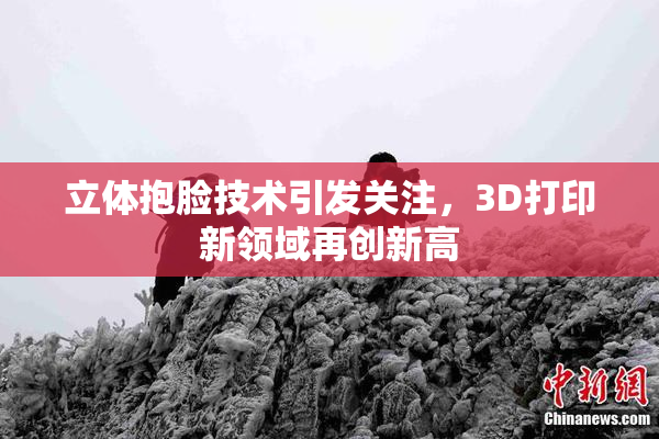 立体抱脸技术引发关注，3D打印新领域再创新高