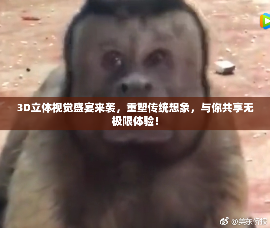 3D立体视觉盛宴来袭，重塑传统想象，与你共享无极限体验！