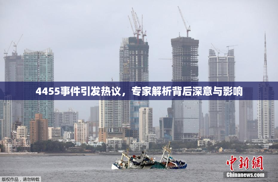 4455事件引发热议，专家解析背后深意与影响