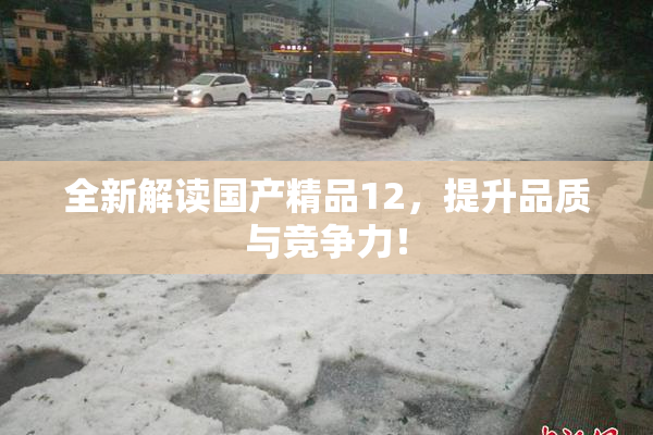 全新解读国产精品12，提升品质与竞争力！