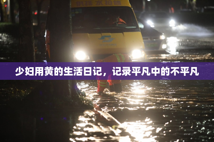 少妇用黄的生活日记，记录平凡中的不平凡