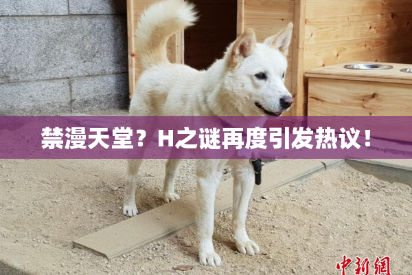 禁漫天堂？H之谜再度引发热议！