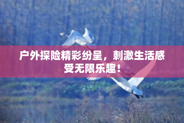 户外探险精彩纷呈，刺激生活感受无限乐趣！