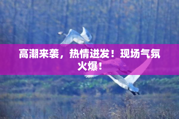 高潮来袭，热情迸发！现场气氛火爆！