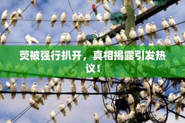 荧被强行扒开，真相揭露引发热议！
