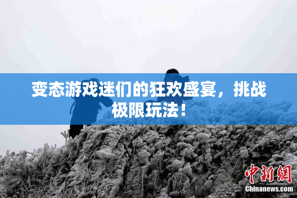变态游戏迷们的狂欢盛宴，挑战极限玩法！