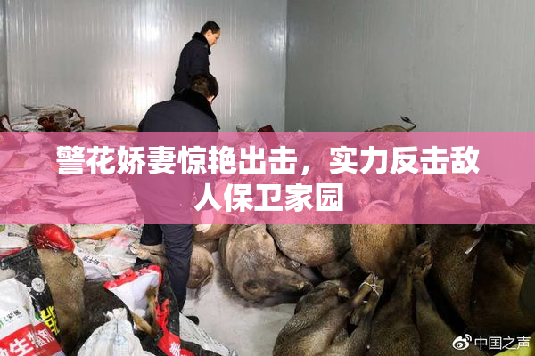 警花娇妻惊艳出击，实力反击敌人保卫家园