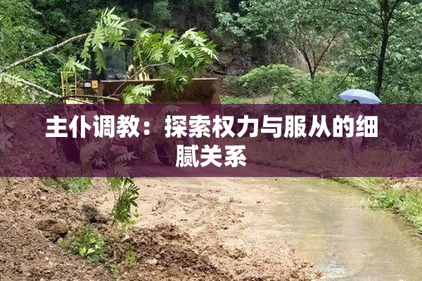 主仆调教：探索权力与服从的细腻关系