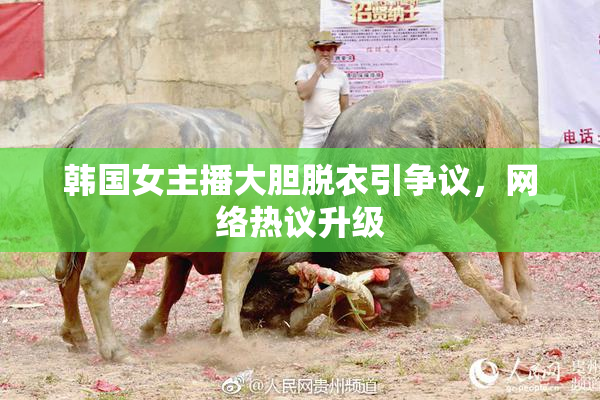 韩国女主播大胆脱衣引争议，网络热议升级