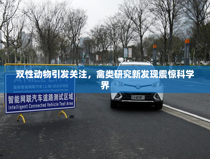 双性动物引发关注，禽类研究新发现震惊科学界