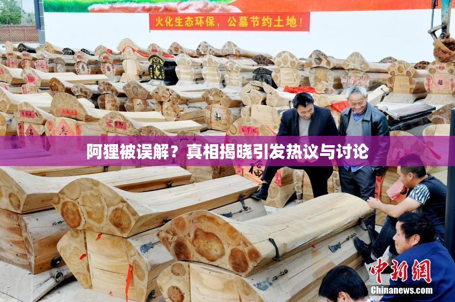 阿狸被误解？真相揭晓引发热议与讨论