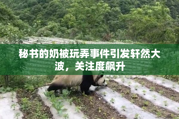 秘书的奶被玩弄事件引发轩然大波，关注度飙升