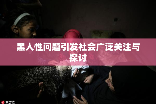 黑人性问题引发社会广泛关注与探讨