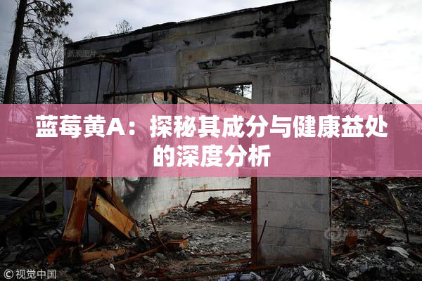 蓝莓黄A：探秘其成分与健康益处的深度分析