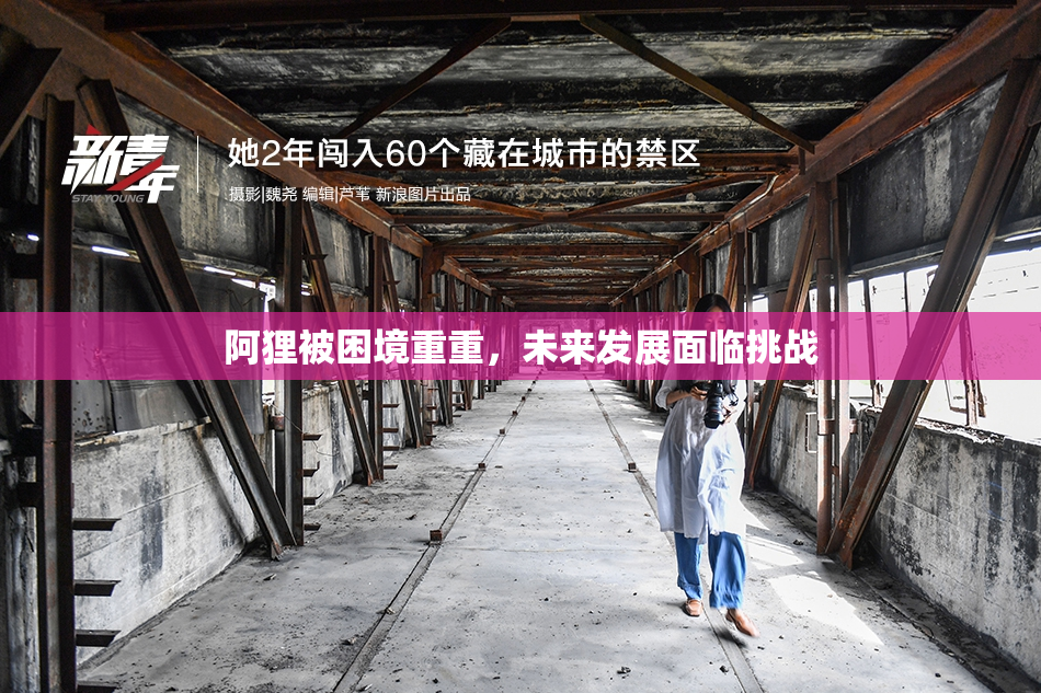阿狸被困境重重，未来发展面临挑战