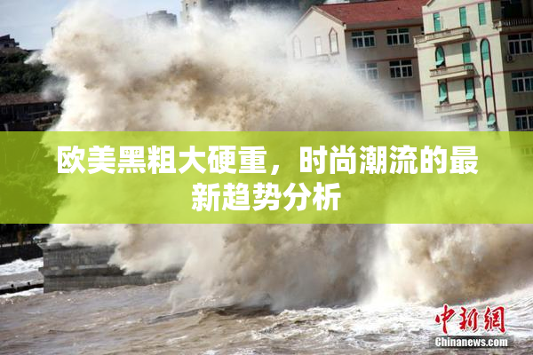 欧美黑粗大硬重，时尚潮流的最新趋势分析