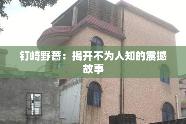 钉崎野蔷：揭开不为人知的震撼故事