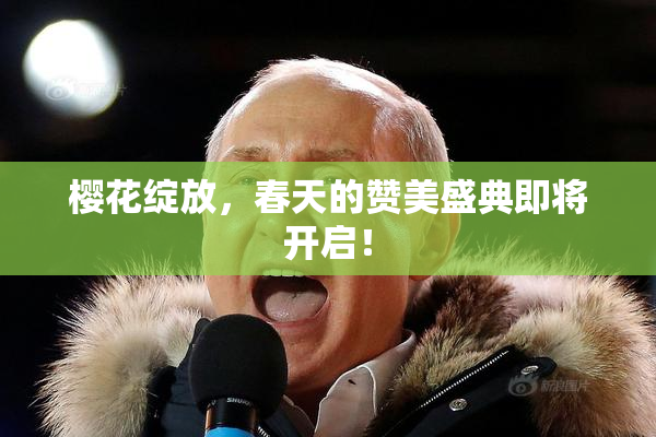 樱花绽放，春天的赞美盛典即将开启！