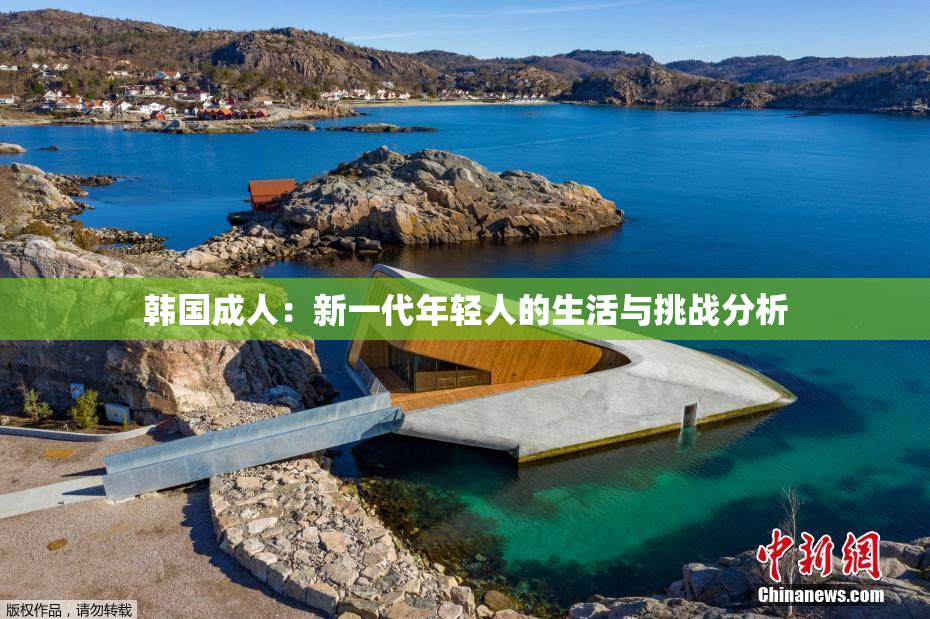 韩国成人：新一代年轻人的生活与挑战分析