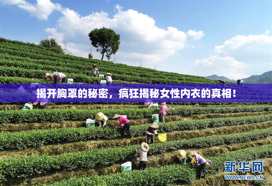 揭开胸罩的秘密，疯狂揭秘女性内衣的真相！