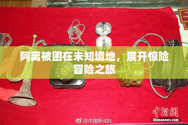 阿离被困在未知境地，展开惊险冒险之旅