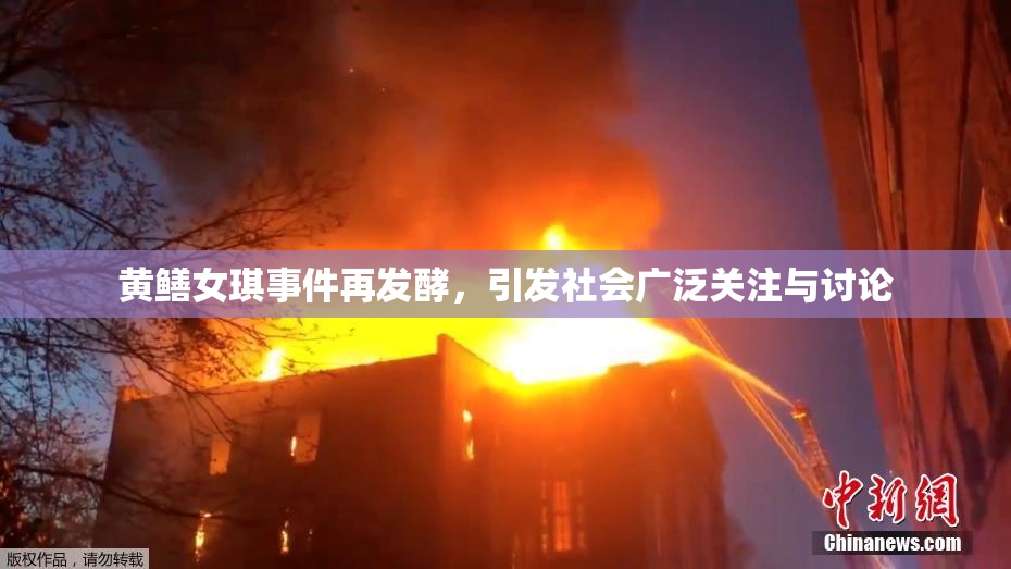 黄鳝女琪事件再发酵，引发社会广泛关注与讨论