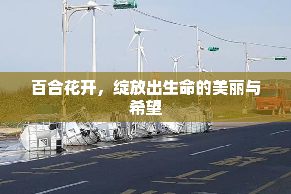 百合花开，绽放出生命的美丽与希望