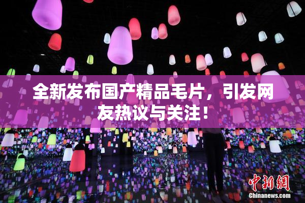 全新发布国产精品毛片，引发网友热议与关注！