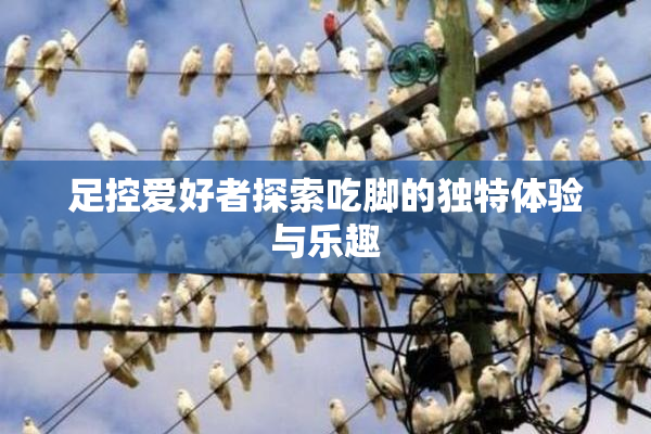 足控爱好者探索吃脚的独特体验与乐趣